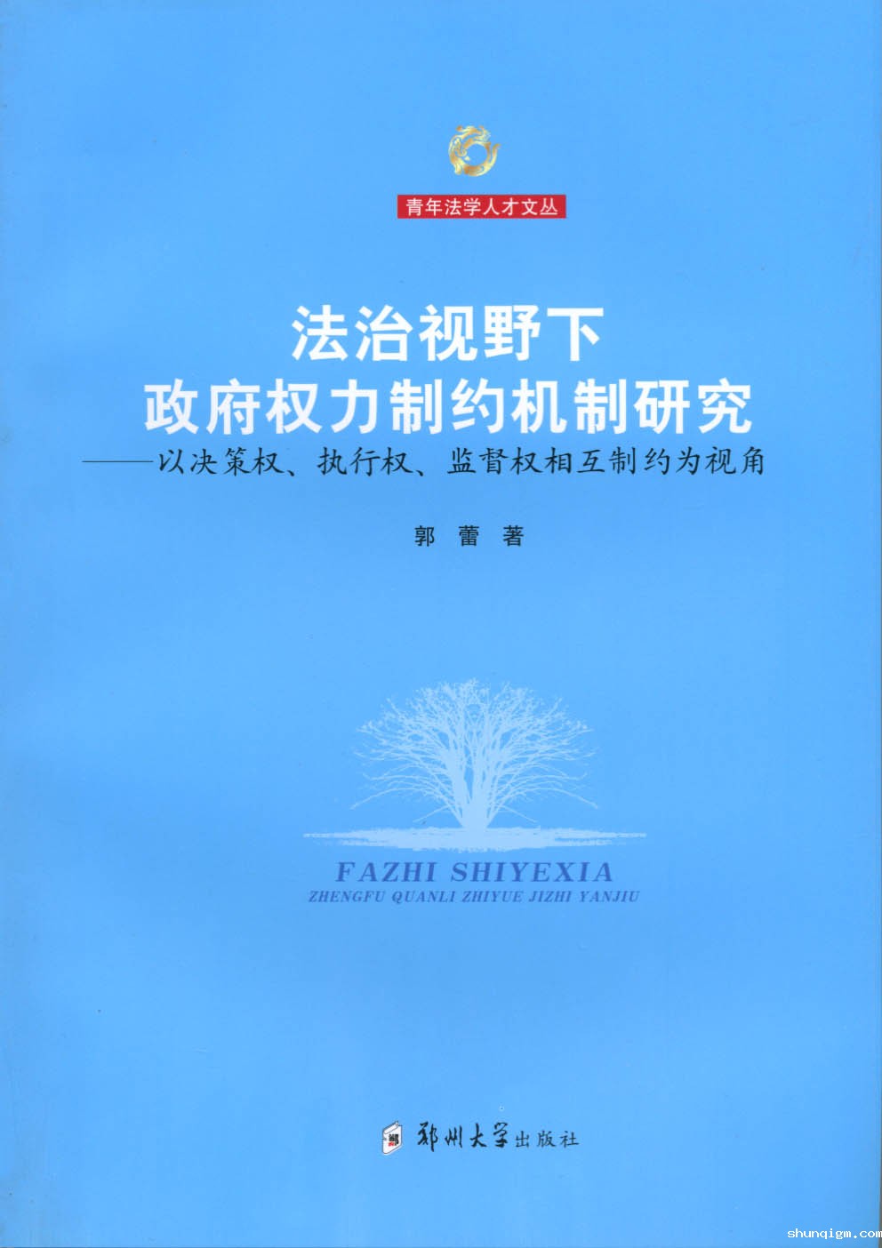 法治视野下政府权力制约机制研究