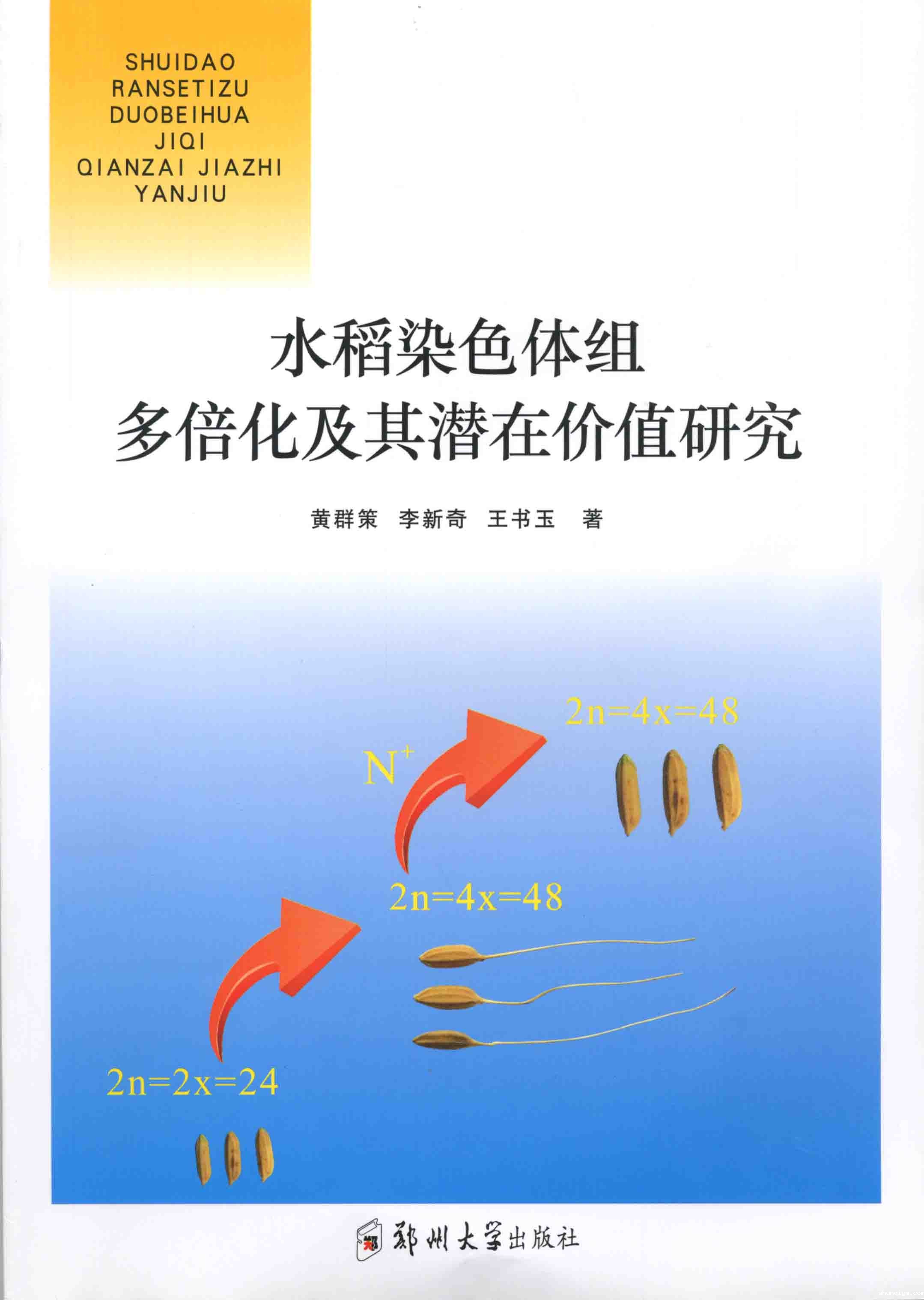  水稻染色体组多倍化及其潜在价值研究