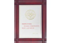 疼痛诊断治疗学