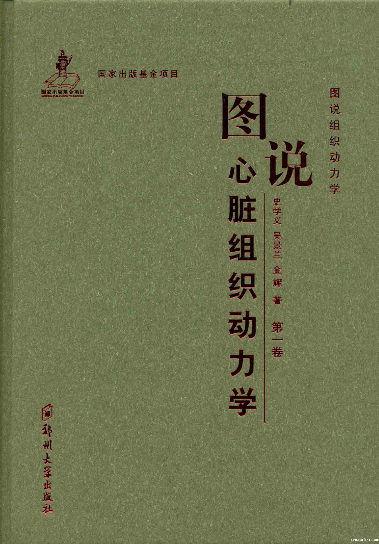 图说心脏组织动力学