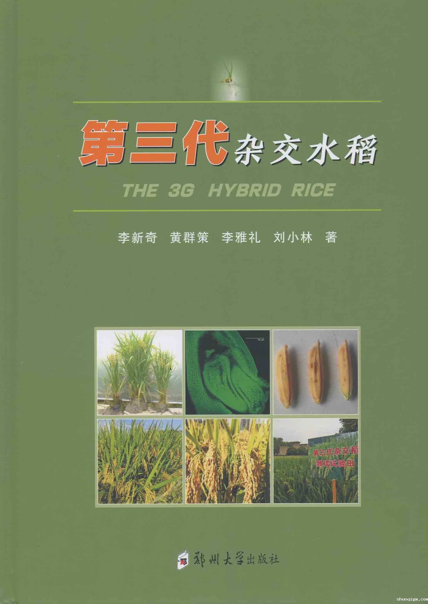 第三代杂交水稻